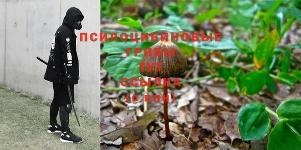 сатива Алексин