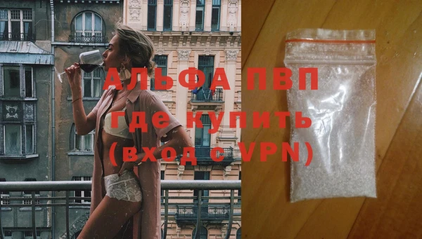 сатива Алексин