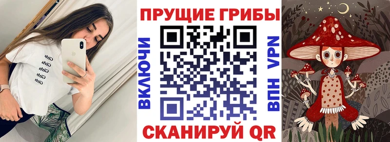 цены наркотик  гидра зеркало  Галлюциногенные грибы Psilocybine cubensis  даркнет клад  Пласт 